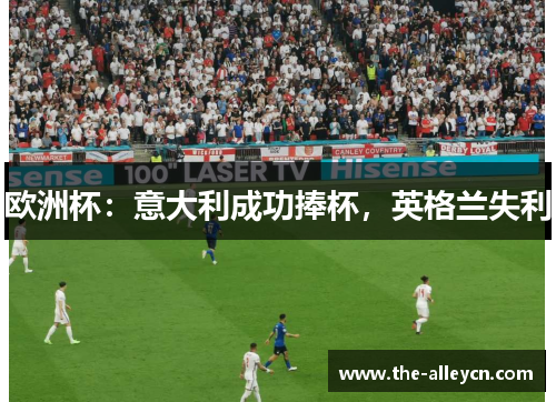 欧洲杯：意大利成功捧杯，英格兰失利