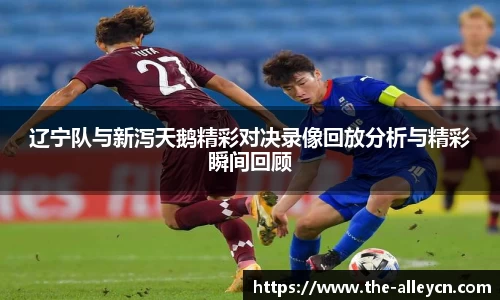 辽宁队与新泻天鹅精彩对决录像回放分析与精彩瞬间回顾