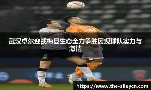 金年会金字招牌