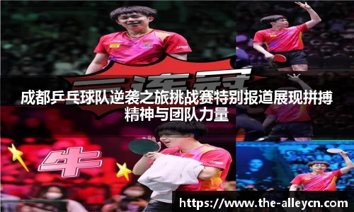 成都乒乓球队逆袭之旅挑战赛特别报道展现拼搏精神与团队力量
