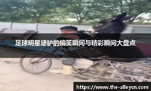 足球明星犟驴的搞笑瞬间与精彩瞬间大盘点